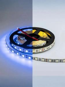 LED-лента синяя 5050-12V  (60LED/M, 14.4W/M) IP20